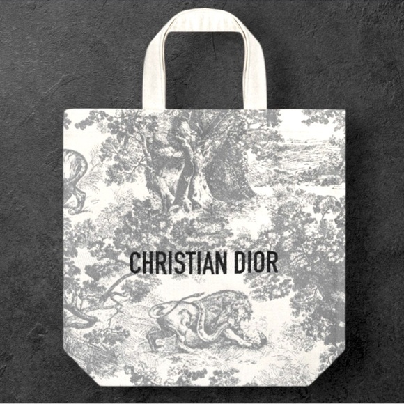 Dior Grey Tote Shopping Bag Medium Embroidered Logo New Authentic